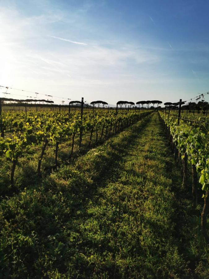 Podere Montecorno Alberese Exterior foto